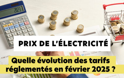 Prix de l’électricité : quelle évolution des tarifs réglementés en février 2025 ?